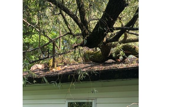 Water, Fire, Wind and Mold restoration services by Hubble Construction LLC