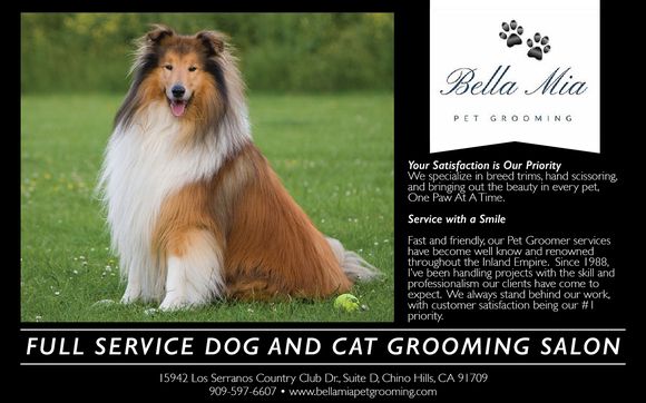 Mia bella hot sale pet grooming