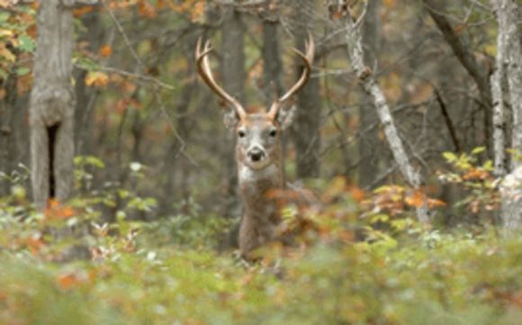 Compeer Financial Beaver Dam Wi Alignable