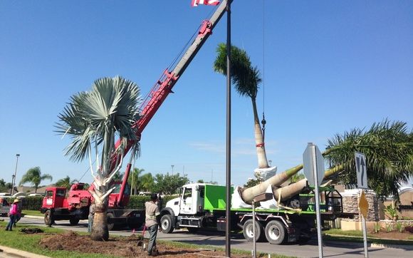 Landscape Installation  by Paradise Lawns & Landscaping, Inc.