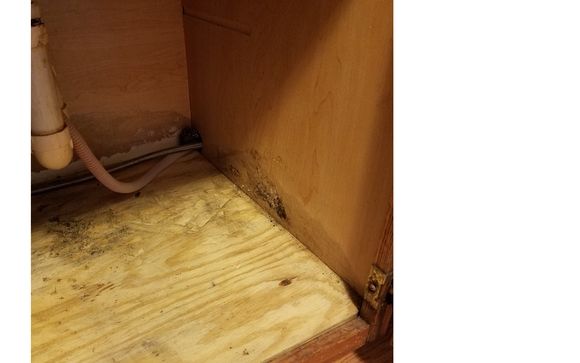 Mold Testing by Clark Home Inspections