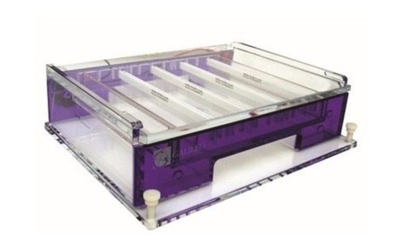 Electrophoresis Systems by Stearns Scientific