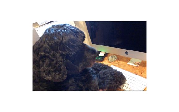 Managing Conflict and Communication With Your Co-Parent During the Holidays by Dear Divorce Coach