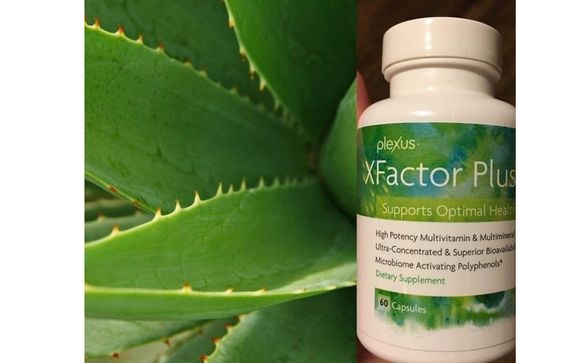  Plexus Slim Factor Plus 60 Capsules : Health & Household