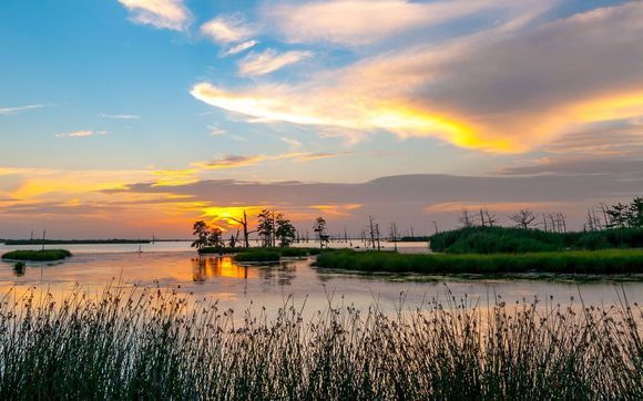 Camp/ Vacation Sales and Rentals by PMI Integrity Properties