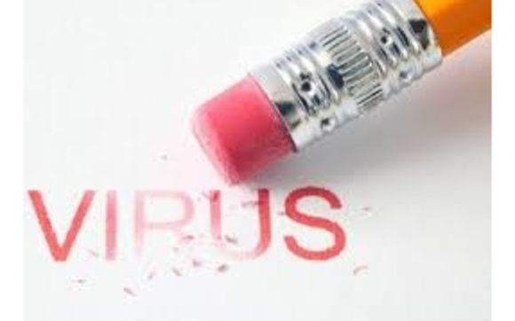 Virus / spyware Removal  by Morse Computer Services