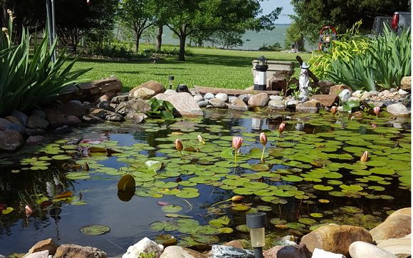I clean, service and repair koi ponds and most any outdoor water feature. CONTACT www.dapperpondservice.com  by DAPPER PONDS