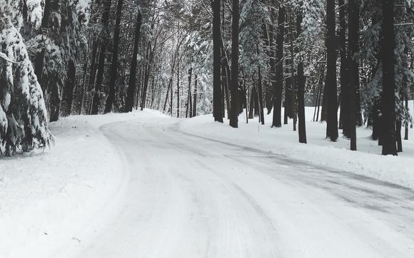 Plowing {Limited Availability} by ARRC: Nursery & Landscape Supplies