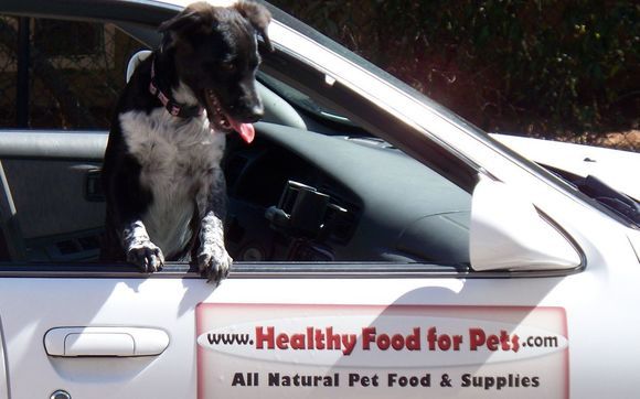 healthy pet supplies