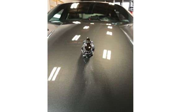 Exterior paint polishing  by 99 Detail Center