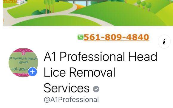 A1 Pro head Luce Removal  by A1 Professional head Lice removal