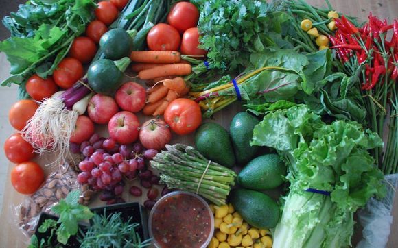 purification/detoxification program by Dr. Davidson Integrative Medicine