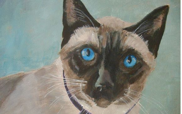 Commissioned art and pet portraits by Sandie Bell Art