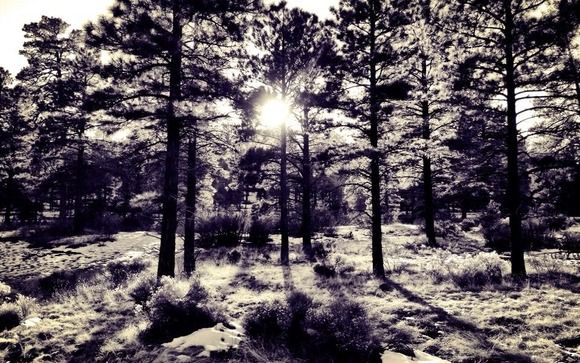 Meditation by Source Energy Therapy