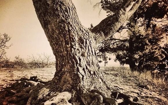 Life Coaching by Source Energy Therapy