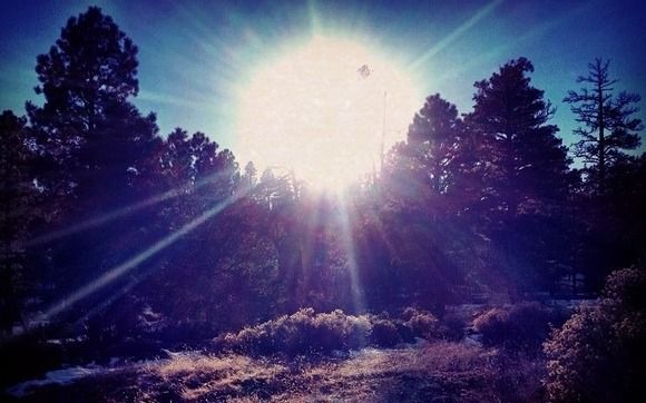 Reiki by Source Energy Therapy