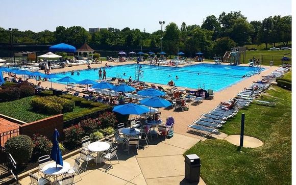 Swimming by Five Seasons Family Sports Club3