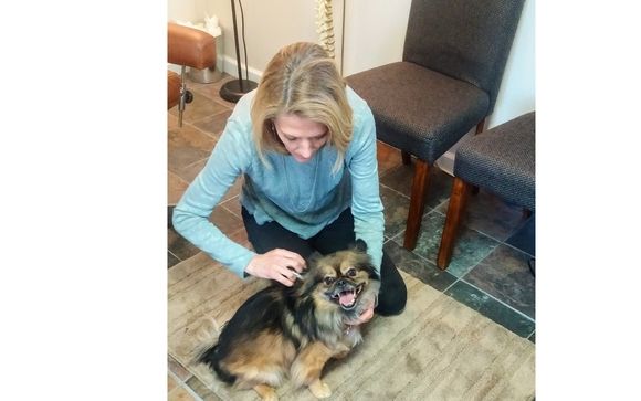 Chiropractic for Canines by Castle Rock Natural Health