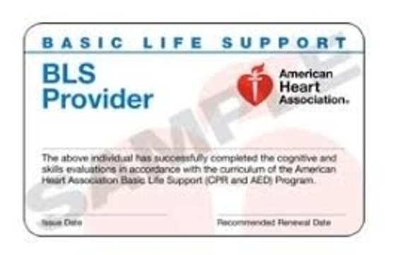 AHA Basic Life Support for Providers by Cert Express Medical Training ...