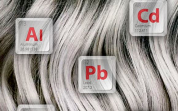 Nutrition Balancing with Hair Analysis  by Happy Tummies of The Lowcountry, LLC