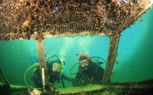 ​Full Education Open Water Scuba Certification Course by Scuba Educators International (S.E.I.)