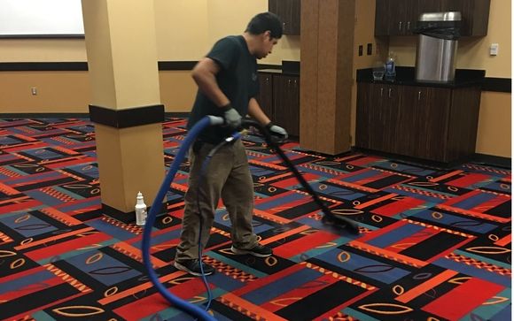 teddy cleaning service