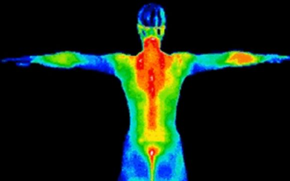 Full Body Scan by Mindful Solutions Healing Alternatives