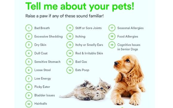 Pawtree pet supplies. by Always There Animal Care