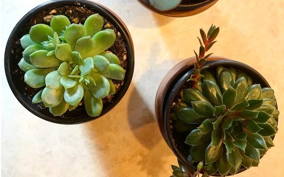 Decluttering Coaching  by Joyful Minimalism 
