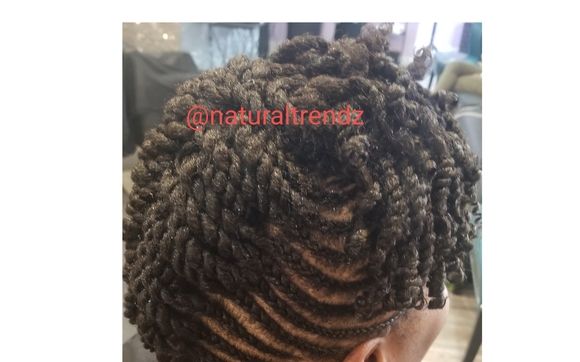 Two Strand Twists by Natural Trendzetter