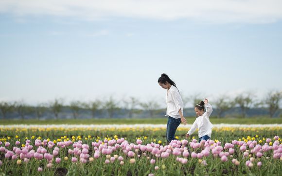 Parent Education Support by SAGE Center for Gifted