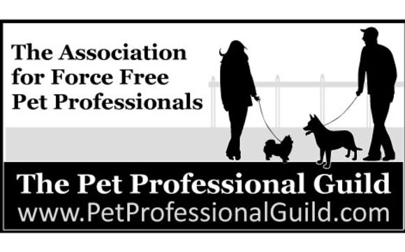 Puppy & Dog Training - Group Classes  by The Right Steps