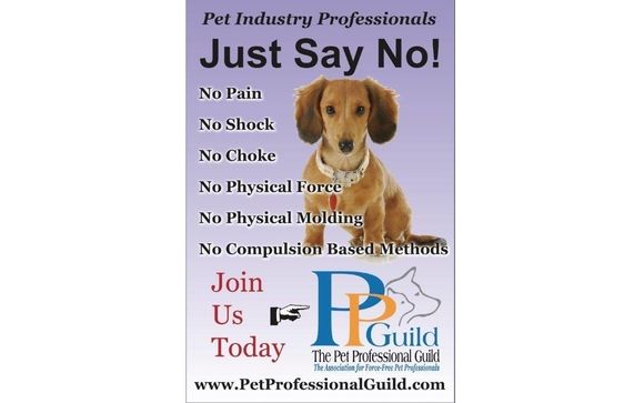 Private Training - At my Facility, In-Home, & Off-Site by The Right Steps