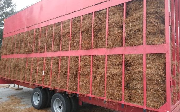 Pine Straw Installation  by WINN PRO TURF MANAGEMENT LLC