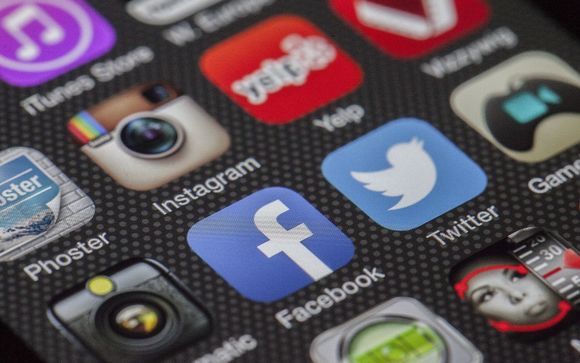 Social Media Management by Elephant Ear