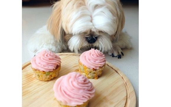 pretty paws bakery