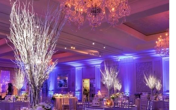 Uplighting and pinspot lighting by DJ Zati - DJ | Lighting | Photobooth