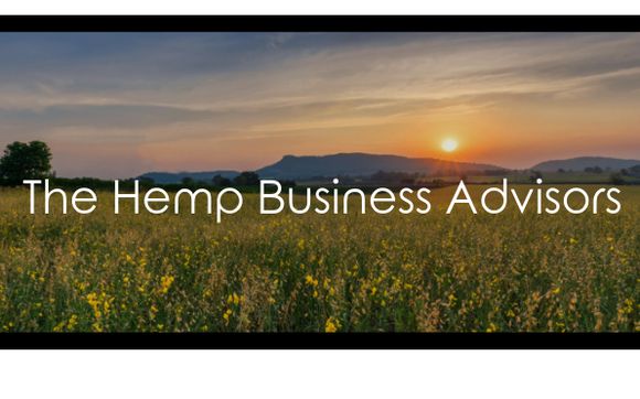 Creating Momentum in the Hemp Industry by The Hemp Business Advisors