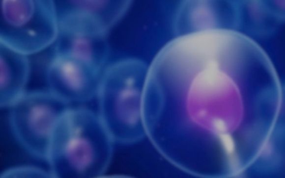 Regenerative medicine by TRUE Health Medical