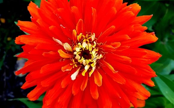 Relationship Counseling and Education  by Find Your Joy Counseling and Coaching