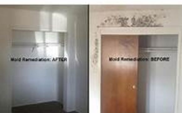 Mold Mitigation and Remediation by Servpro of Manchester