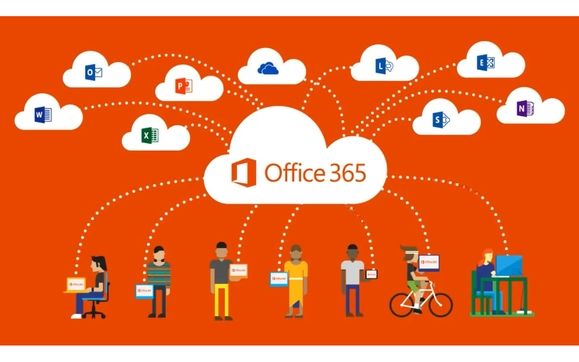 Microsoft Office 365 by The Network Company