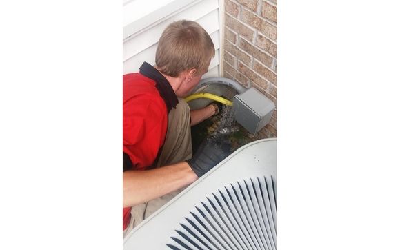 Rodent Control By Titletown Lawn Pest Pros In Green Bay Wi