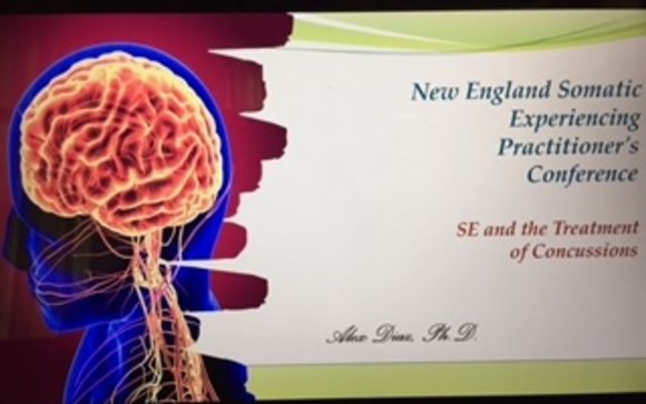 Concussion Treatment by Dr. Alex Diaz - Mental Health and Sport Psychology Consultant