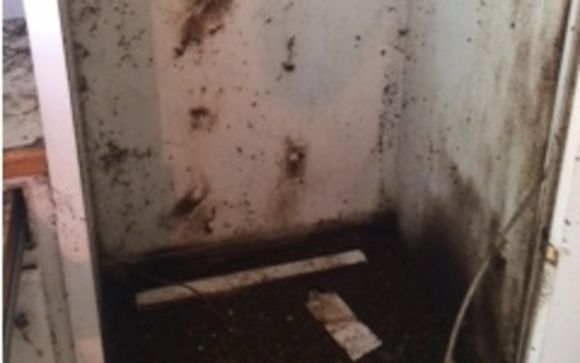Roach Feces and Odor Removal by Palmetto Commercial Services