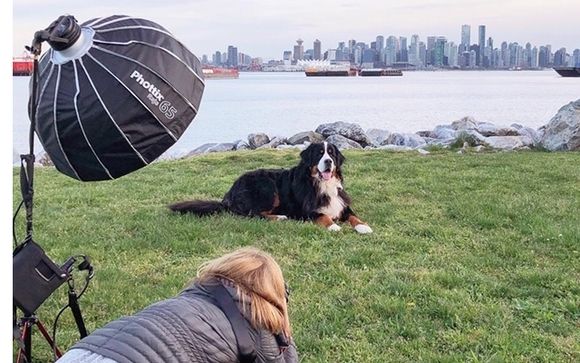 Dog Photo Shoot by BARKography