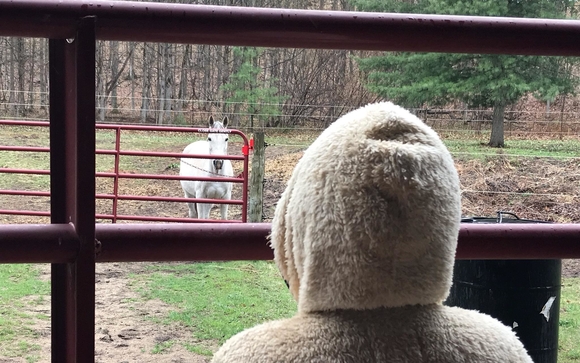 PEACE Ranch - Traverse City, MI - Alignable
