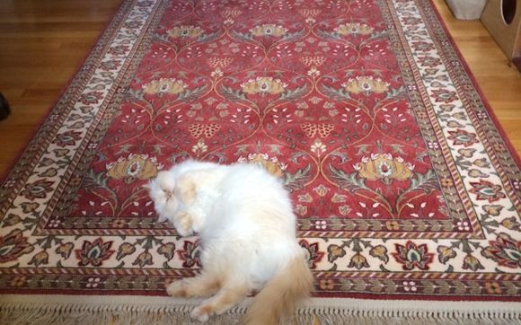 Rugs And Rug Cleaning By Sudbury, Sudbury Rug And Home