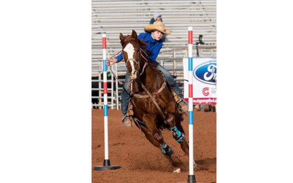 Rodeo Photography by Alan Holben Photography LLC