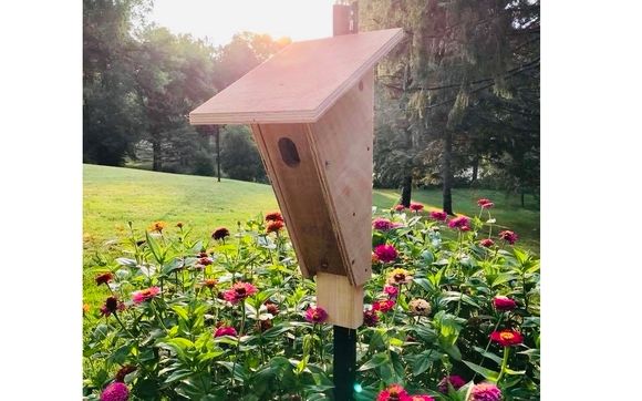 Bluebird Houses by Rudolph’s Bluebird Houses in New Prague, MN - Alignable